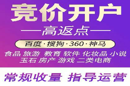 竞价推广成功案例解析
